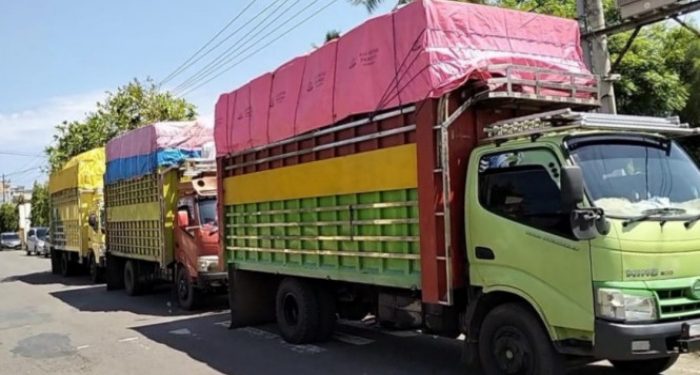 Polres Sinjai Amankan 3 Truck, Pengangkut 24 Ton BBM Solar Ilegal