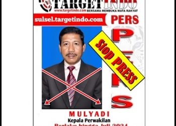 Media Online Sulsel Target Indo ini NON AKTIF